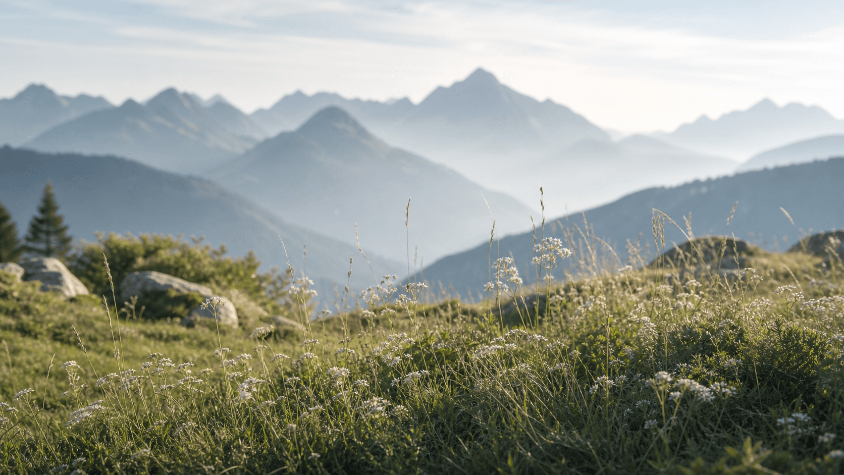 Ruhige Almwiese mit Bergpanorama als Symbol für eine Almwiesenbestattung